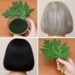 Mélangez de la Vaseline et du café : Pourquoi ne l’ai-je pas su plus tôt ? ☕✨