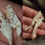 Une Petite Trouvaille en Laiton avec une Surprise Énorme à l’Intérieur