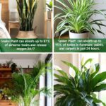 30 Idées Géniales de Supports à Plantes DIY Qui Vous Feront Craquer