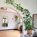 🌸 9 fleurs d’intérieur faciles à cultiver pour les débutants