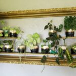 15 Idées Envoûtantes de Jardins Miniatures de Cactus et Succulentes