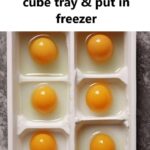 Votre guide pratique du jaune d’œuf 🍳