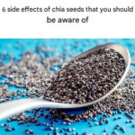 6 herbes que vous pouvez faire pousser dans l’eau et garder chez vous toute l’année