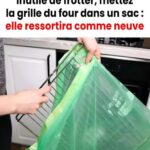 Je suis tombé sur ça chez ma grand-mère… et impossible de deviner à quoi ça servait ! La réponse va vous surprendre 👇