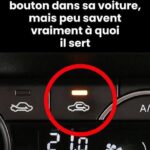 Beaucoup de gens pensent que c’est de la décoration… mais la vraie raison va vous surprendre !