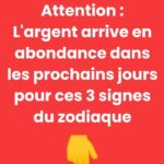 🐷 Les trois petits cochons décident d’aller dîner un soir…