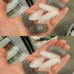 Combien faut-il réellement laisser de pourboire ?