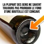 Sachets de flocons d’avoine instantanés faits maison : un petit-déjeuner pratique, économique et personnalisable