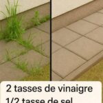 Les signes du zodiaque réputés pour leur intuition exceptionnelle : ont-ils vraiment un sixième sens ?