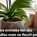 Prises électriques sales ou jaunies ? Astuces pour les nettoyer et leur redonner un aspect neuf