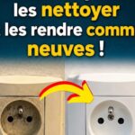 Les chefs connaissent cette astuce pour garder le persil frais pendant des semaines 🌿